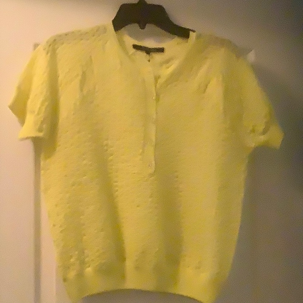 Delicate short sleeve sweater from French designer